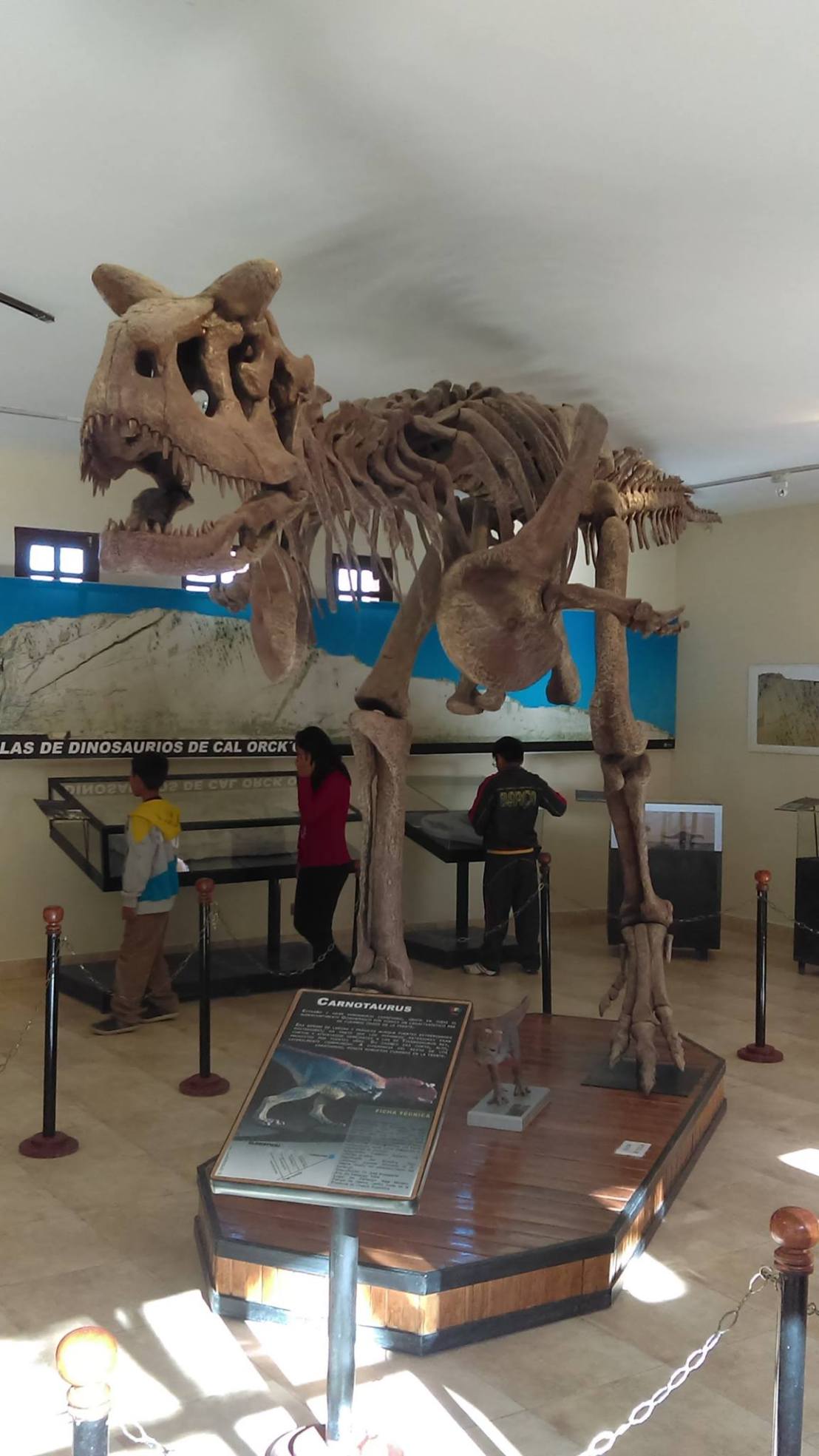 Sucre parque cretático